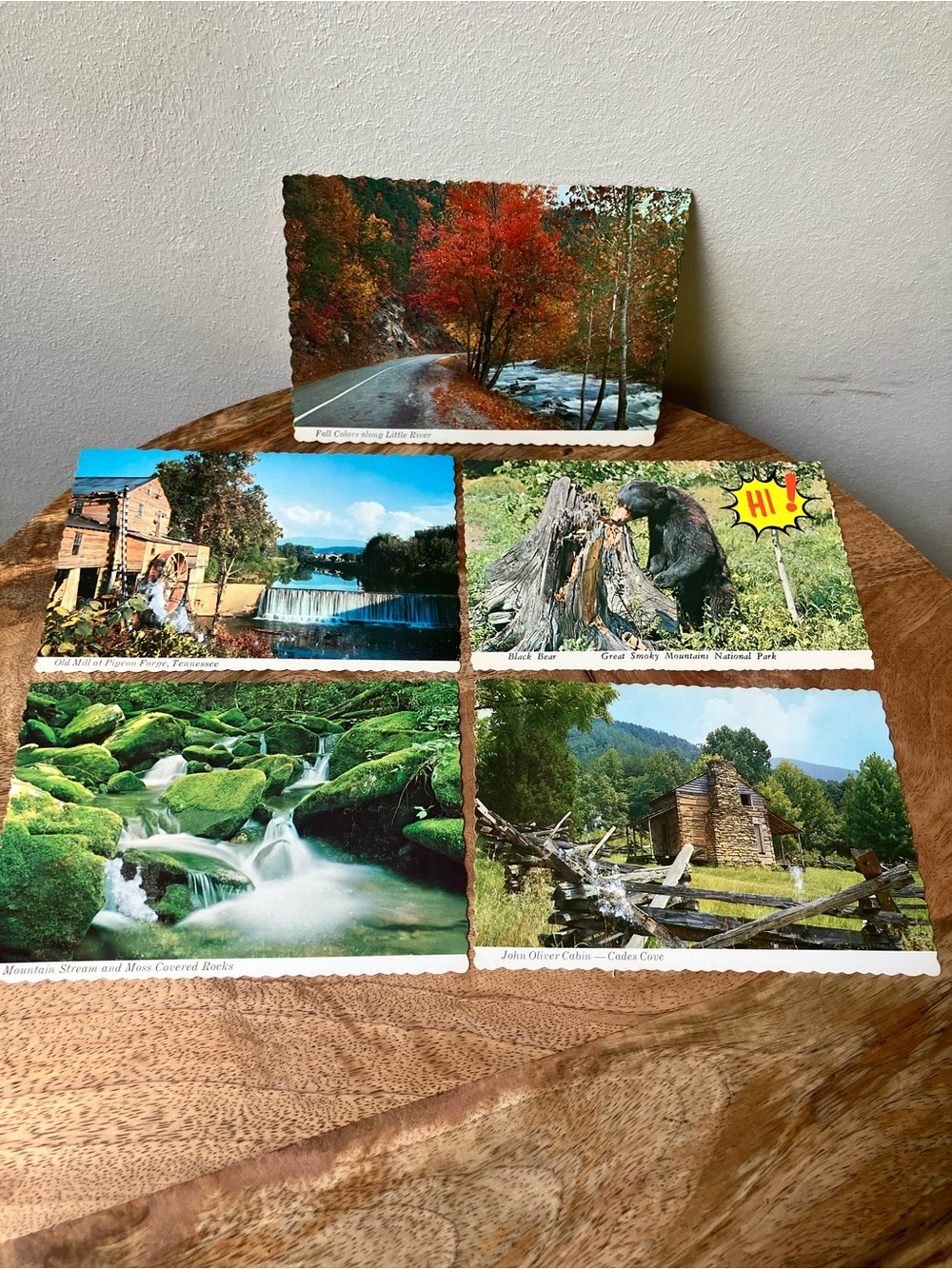 Color King Vintage Great Smokey Mountains National Park Americana Postcards